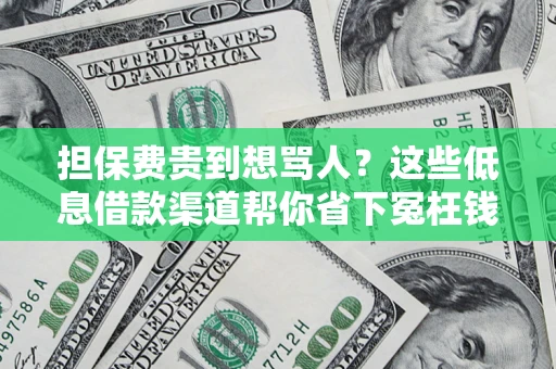 北京担保费贵到想骂人？这些低息借款渠道帮你省下冤枉钱